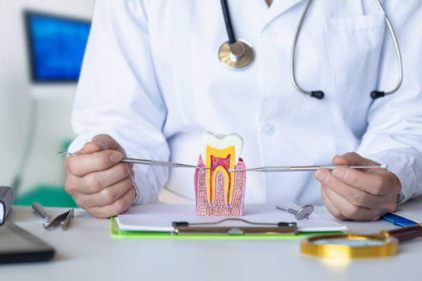 Professional Emergency Dental Service in NY